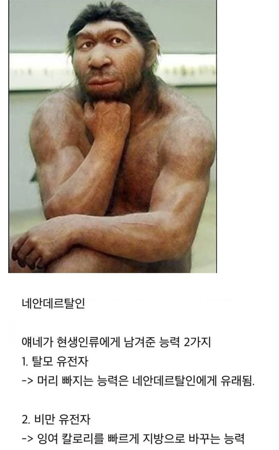 아종간 교배가 위험한 이유.jpg_1.webp