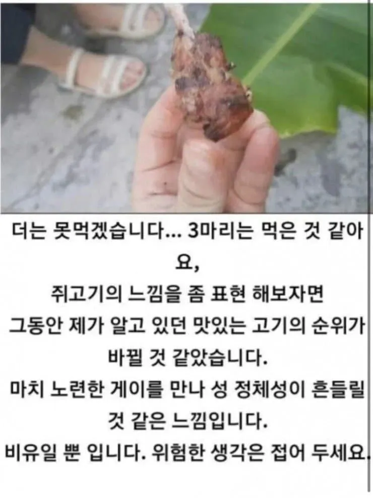 쥐고기 구워 먹은 사람이 남긴 후기_1.webp