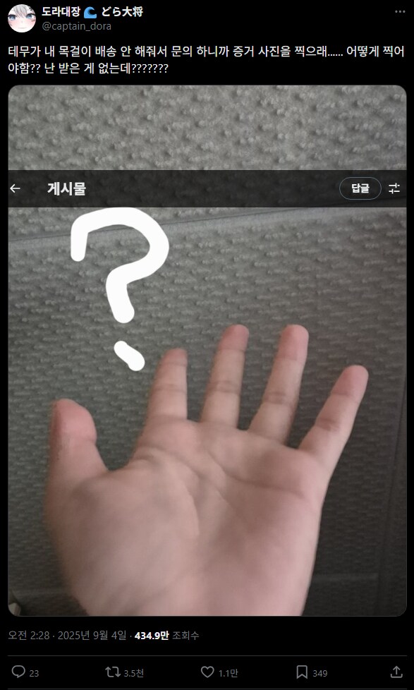 버튜버)무(無)를 증명하는 도라대장