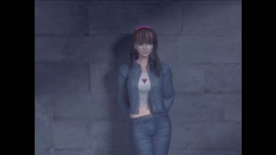 DEAD OR ALIVE 3_38.jpg