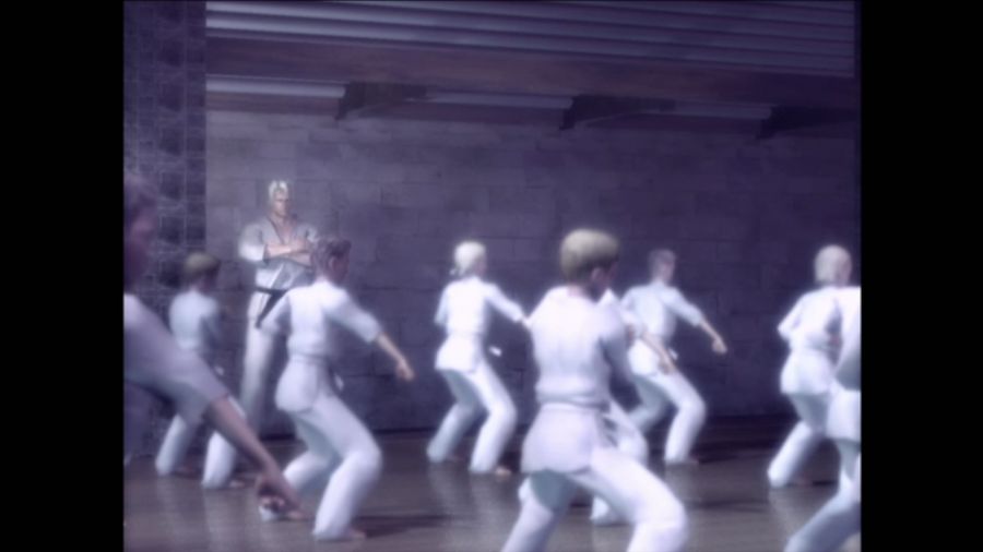 DEAD OR ALIVE 3_39.jpg