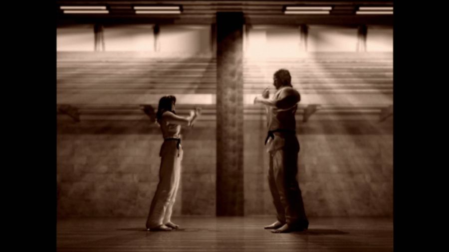 DEAD OR ALIVE 3_45.jpg