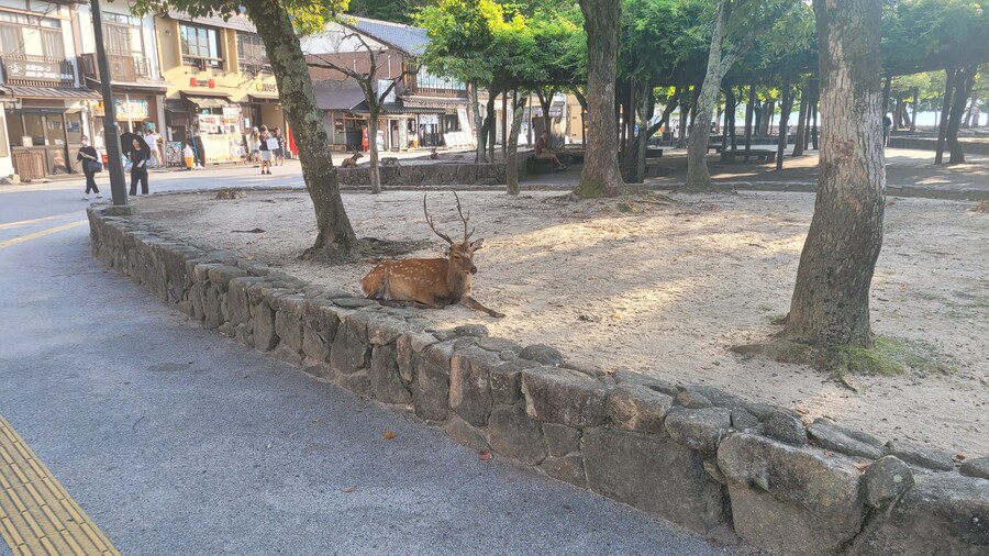 인생 최초의 일본 관서 지방 솔플 이야기 (4/6)_18.jpg