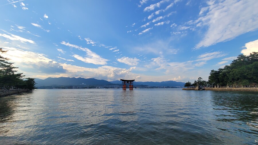 인생 최초의 일본 관서 지방 솔플 이야기 (4/6)_25.jpg