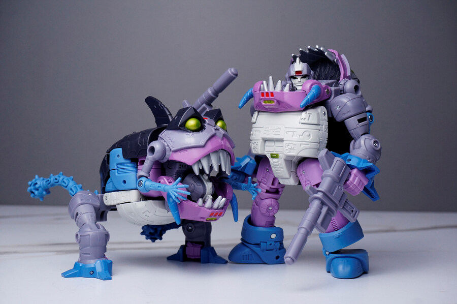 ss86 노오(샤크티콘)_3.jpg