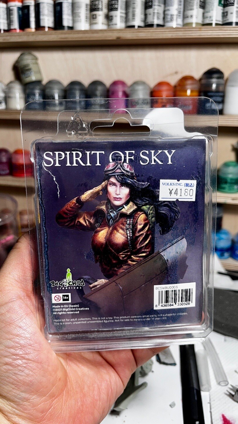 bigchild creative spirit of sky 1/12 흉상_1.jpg
