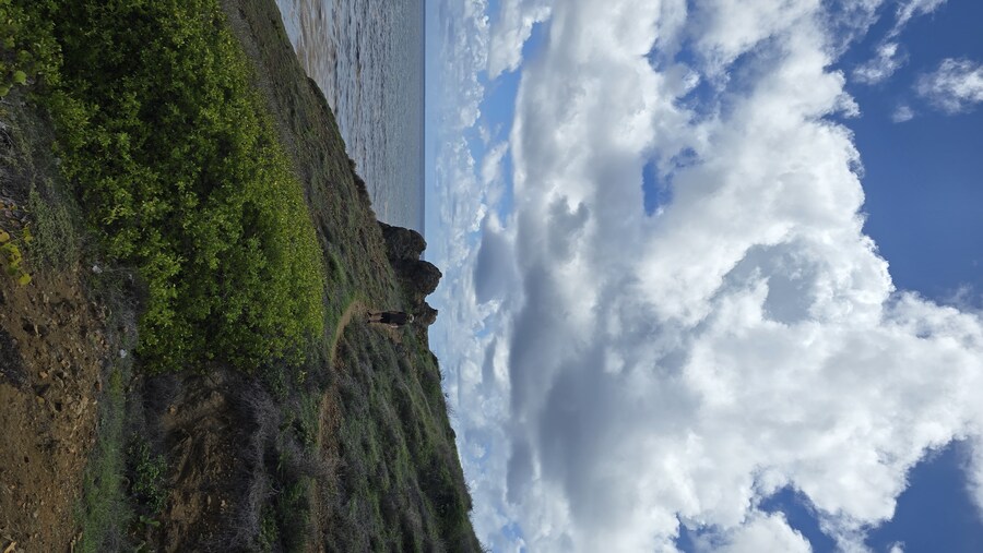 한국에서는 생소한 여행지 케리비안 섬에 다녀왔습니다._10.jpg