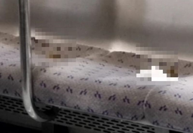 혐) 어제자 7호선 X빌런_1.jpg