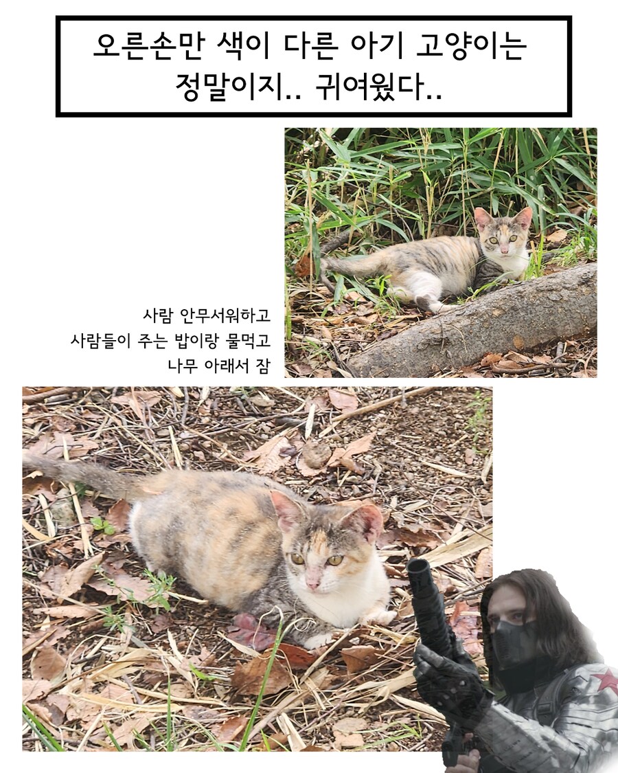 달리기와 공원, 윈터솔져 그리고 고양이.Manhwa_9.png