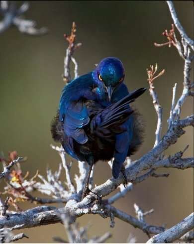 눈빛을 보아하니 새로운 경지에 도달한 모양이군._2.jpg