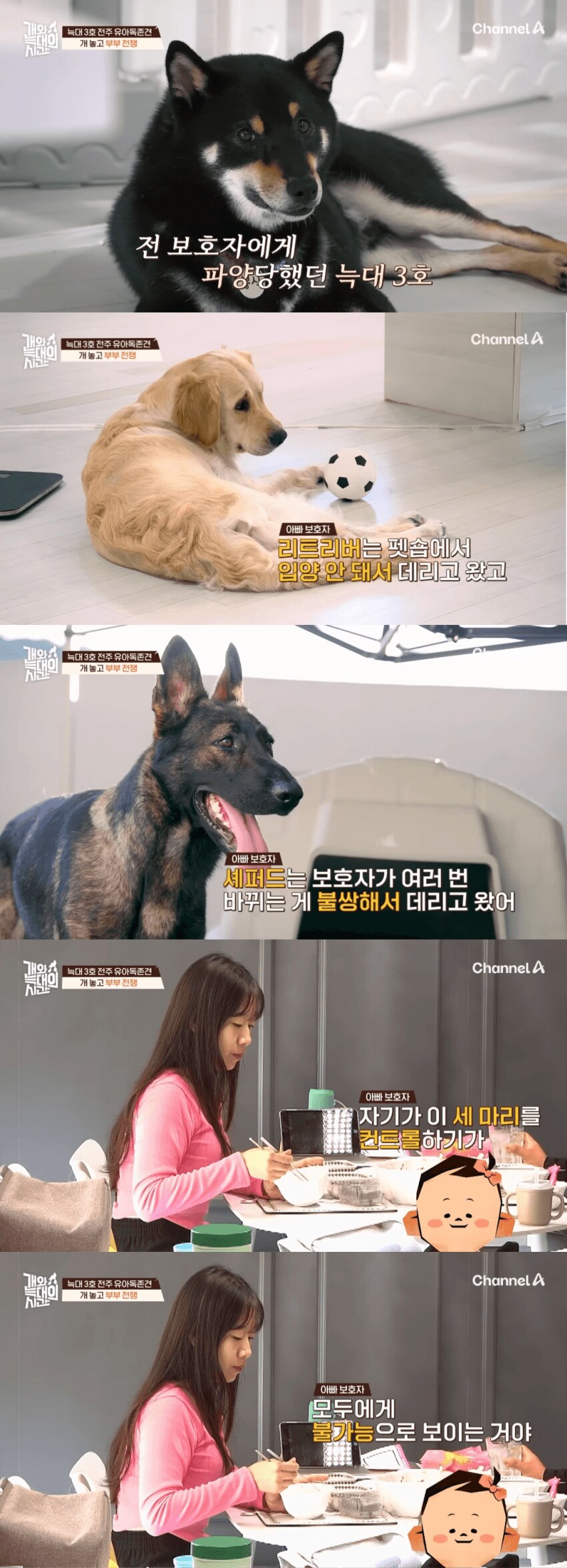 솔찍히 정신병으로 밖에 안보임.._5.png