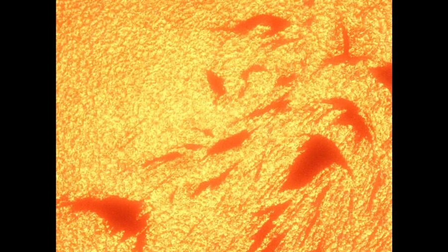 가오가이가]레오박사님 전개는 알고있었는데_3.jpg