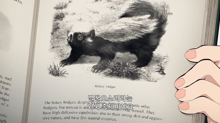 귀멸의칼날]시노부가 설명하는 이노스케_4.jpg