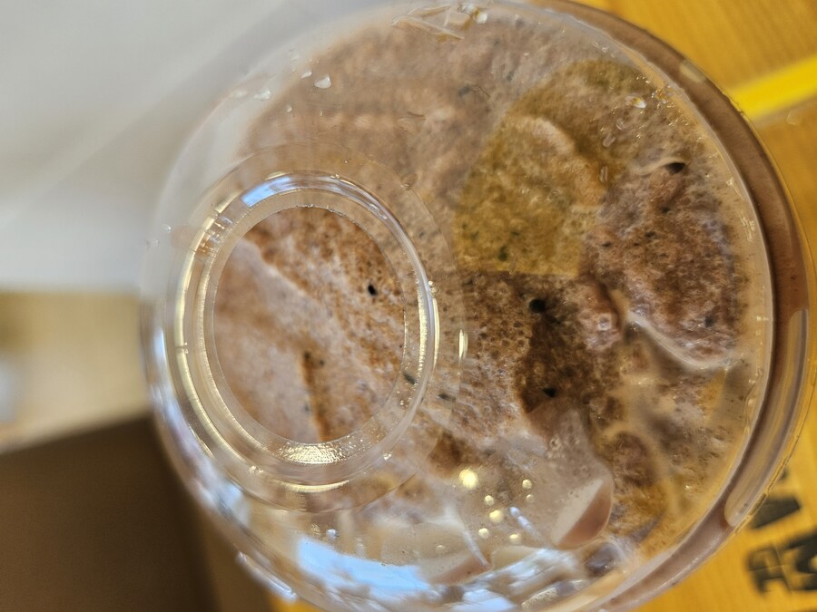 충주 탄금대 왕갈비탕 + 메가커피 피넛초코프라페_9.jpg