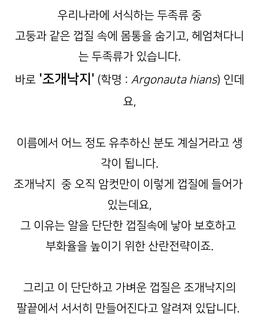 사람들이 잘 모르는 신기한 생물.jpg_8.jpg