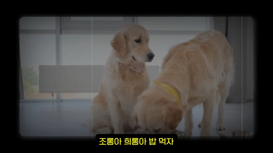 유튜브) 2천명 앞에서 남자스트리머 바지벗기고 조롱,희롱한 여자 스트리머(스압)_109.png