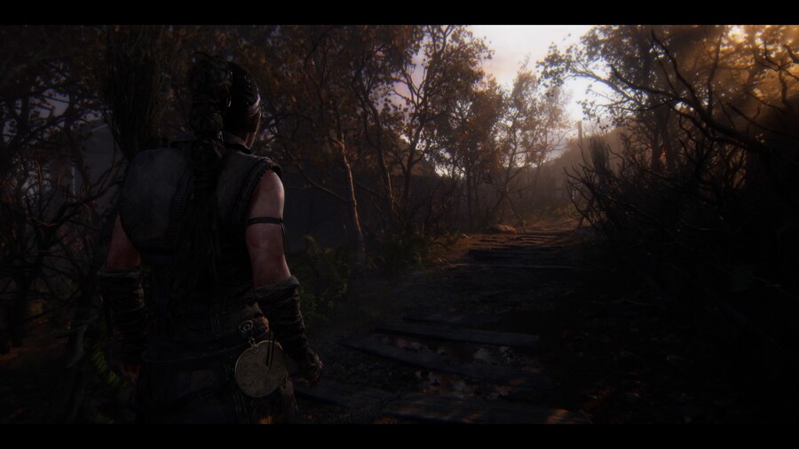 Senua's Saga_ Hellblade II_1.jpg