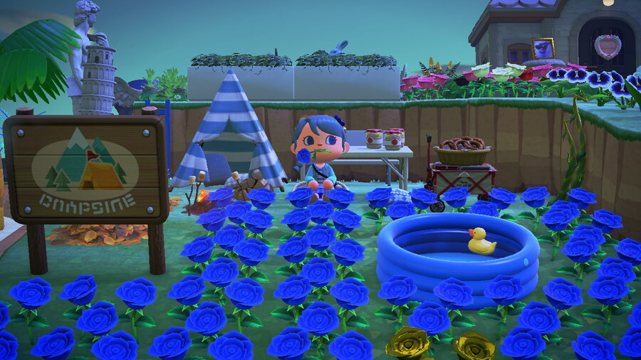 과일 나눔 재개합니다(+파랑장미)🍒🍑🍐🍎🍇_1.jpg