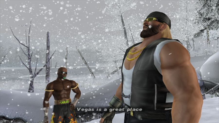 DEAD OR ALIVE 3_12.jpg