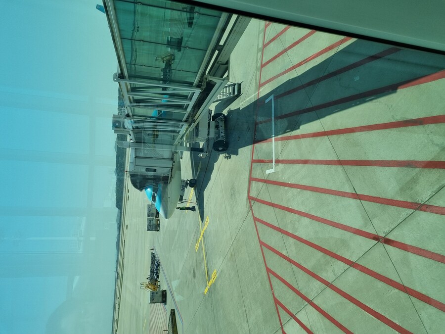 (스압)칭따오 처묵,원장맥주,실망_1.jpg