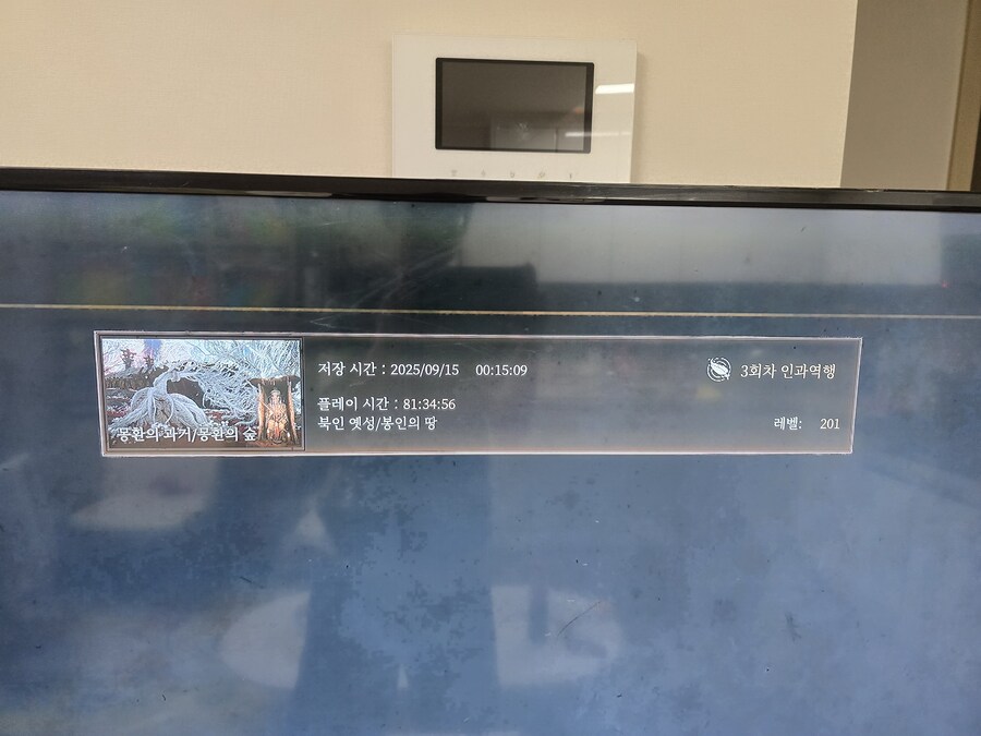 3회차는 스피드런에 도전했으나..._2.jpg