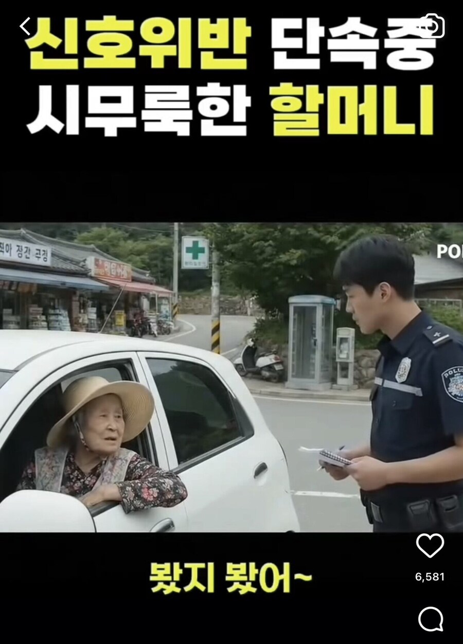 할머니가 신호 위반한 이유_2.jpg