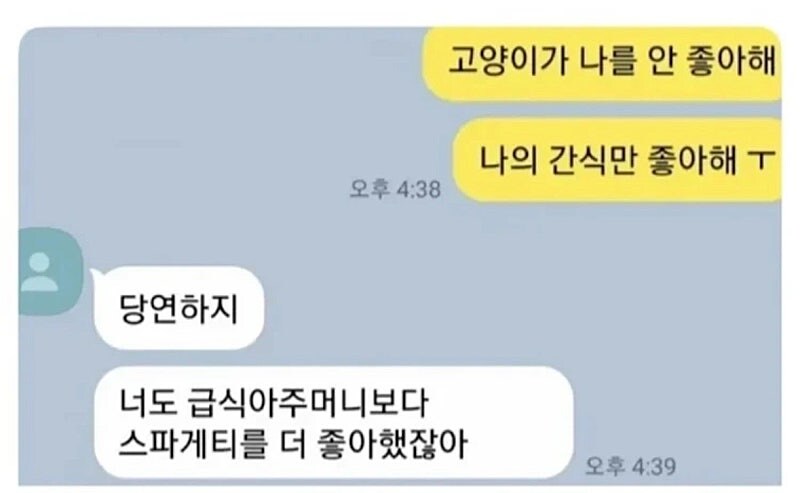 우리집 고양이가 나를 안 좋아해.JPG