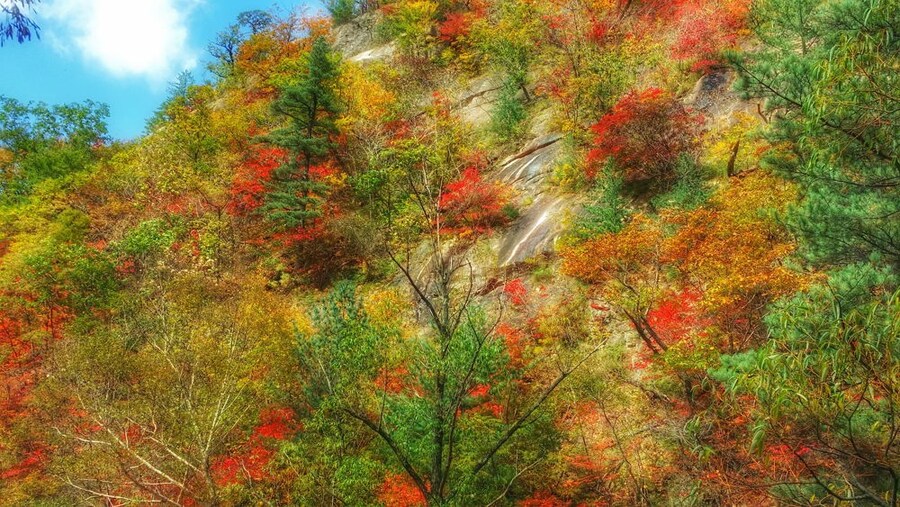이번 가을엔 설악산 공룡능선으로 가보자고_14.jpg