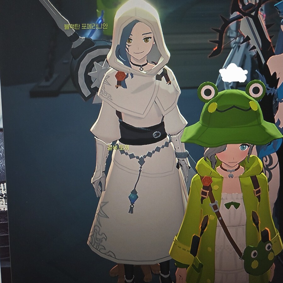 행님덜 이 룩 이름이 뭐에요?!_1.jpg