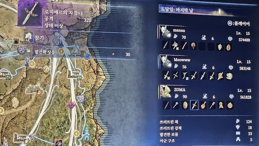 로지에르 자검 딜이 이게 맞나요??_1.jpg