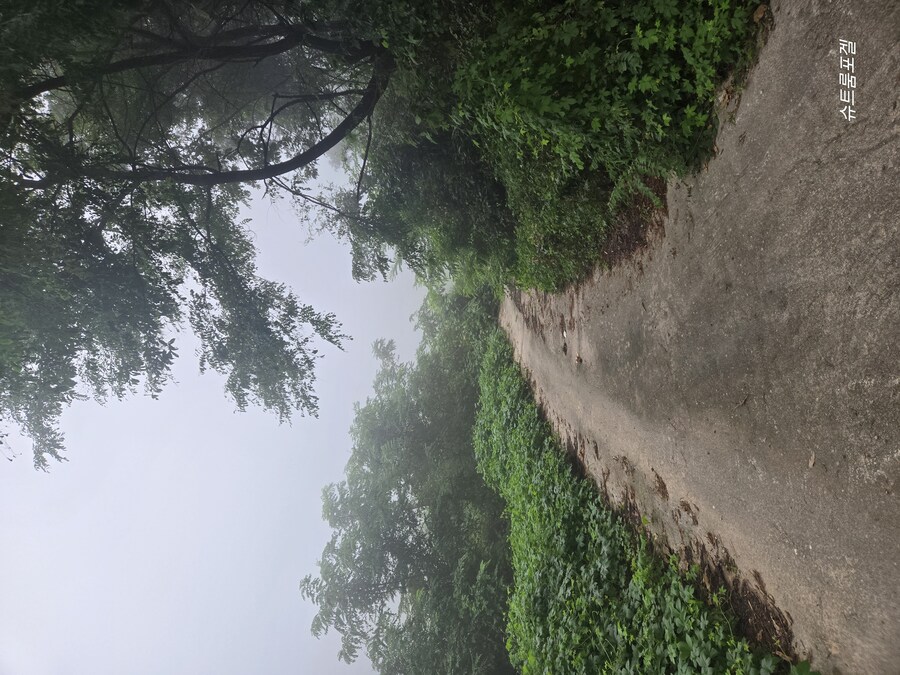 가을에 접어들었어요_4.jpg