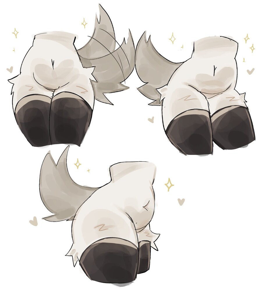 Belly_1.jpg
