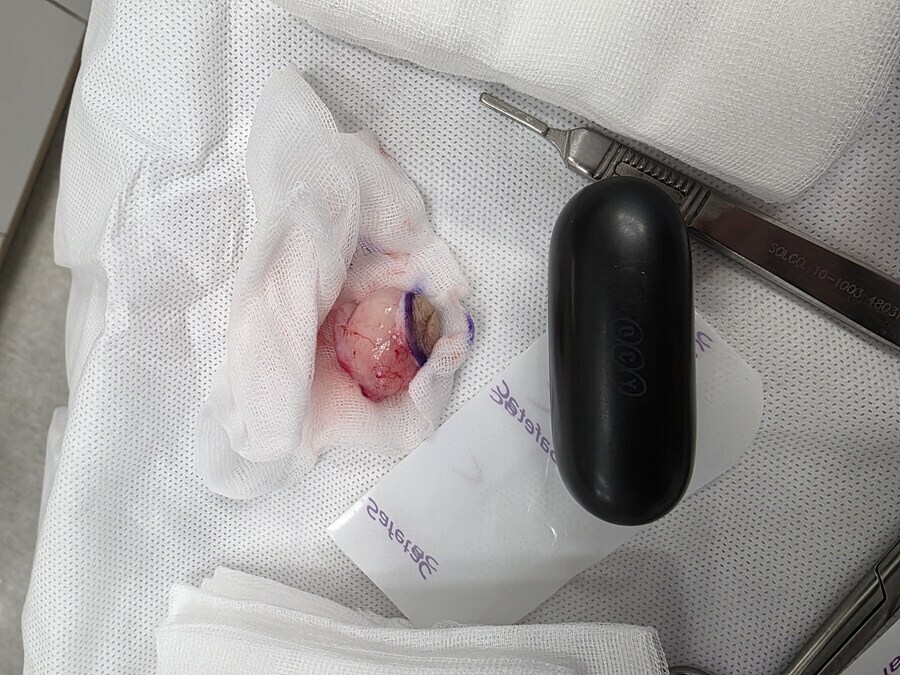 혐) 볼만한것들_4.jpg