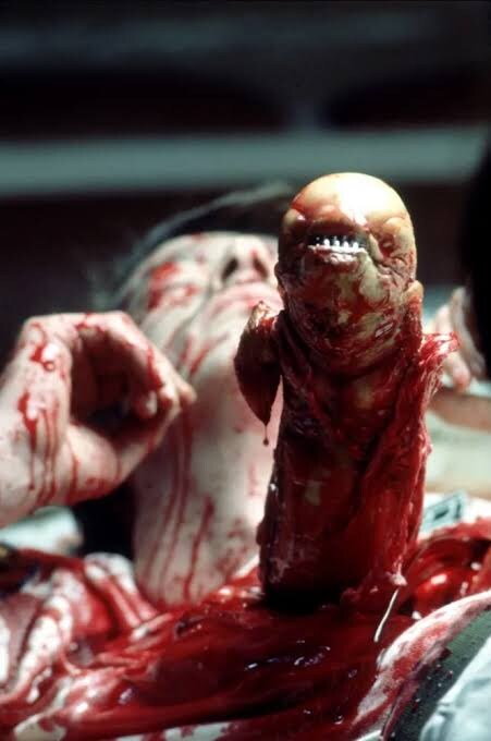 혐) 볼만한것들_5.jpg