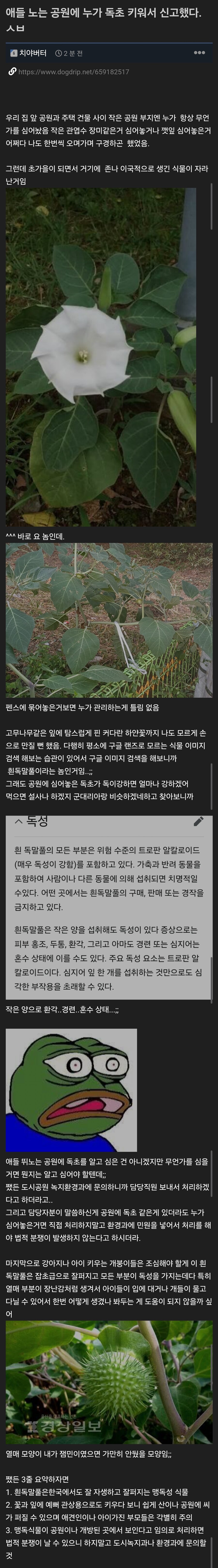 애들 노는 공원에 누가 독초 키운거 발견해서 신고한 사람_1.jpg