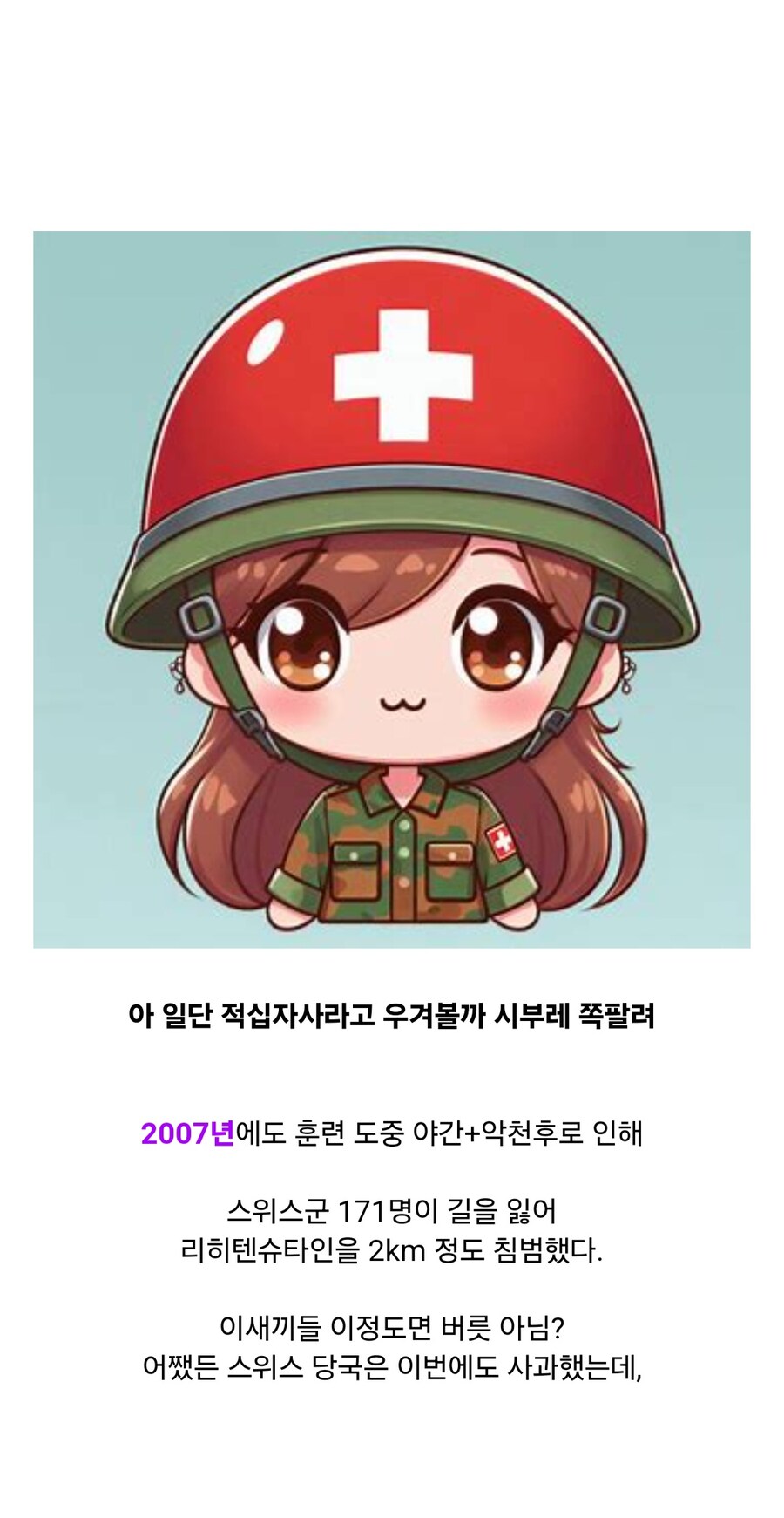 스위스가 실수로 침략한 나라_9.jpg