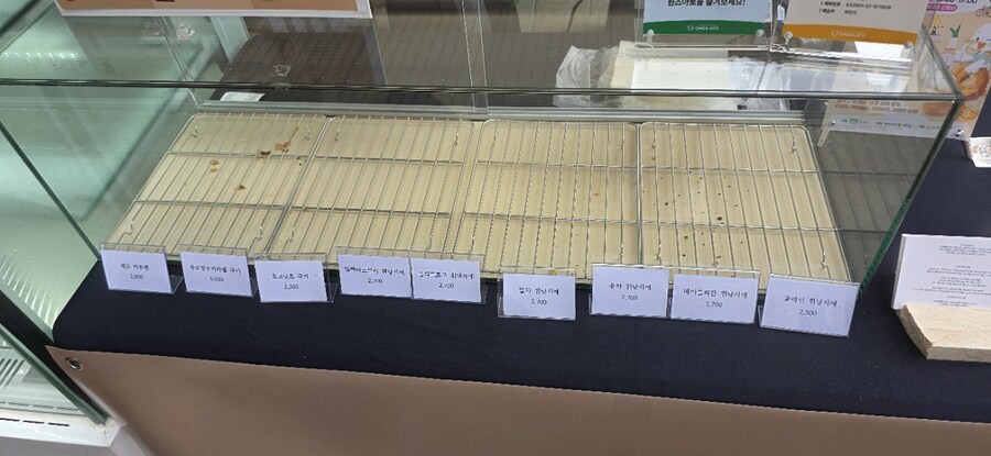 빵도동 빵 축제에 다녀왔습니다 (빵 사진 또 없음)_8.jpg