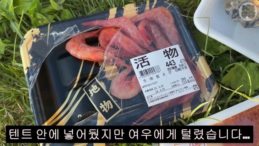 캠핑) 홋카이도에서 캠핑할 때 주의할 점_7.png