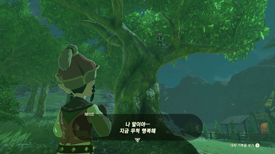 젤다의 전설 티어즈 오브 더 킹덤_8.png