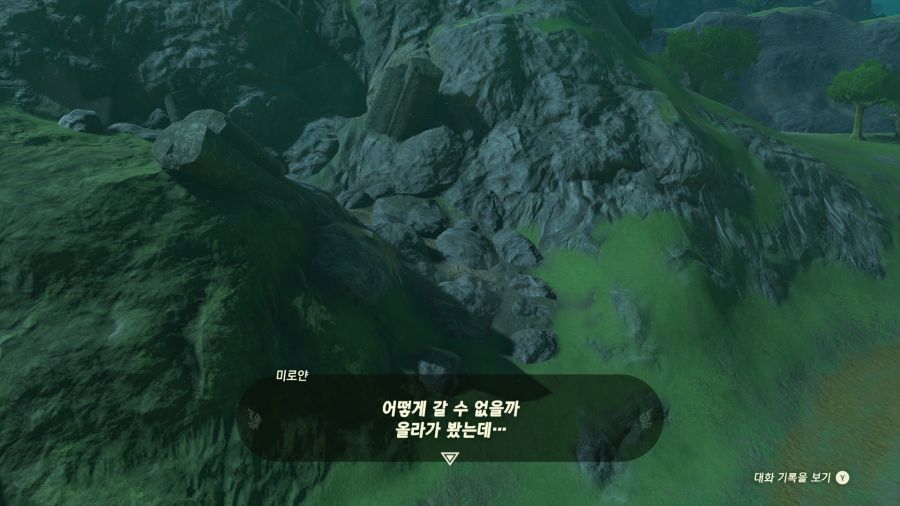 젤다의 전설 티어즈 오브 더 킹덤_21.png