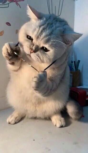 "난 이 영화가 OTT에 공개되는게 싫어"_8.jpg