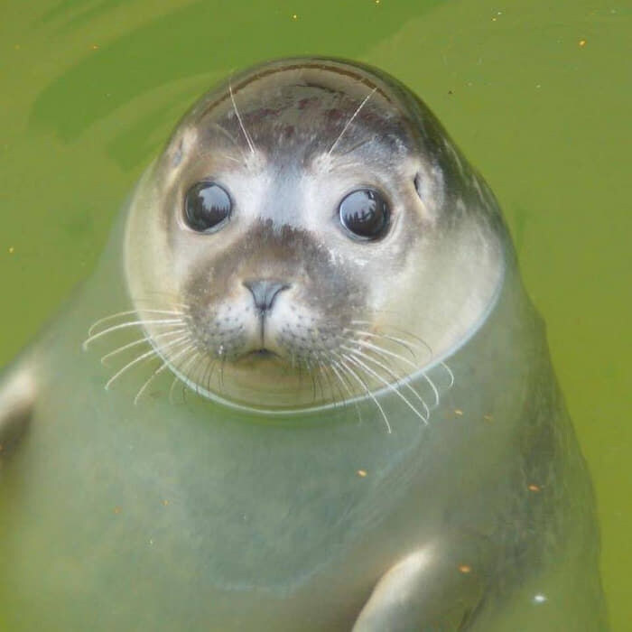 "난 이 영화가 OTT에 공개되는게 싫어"_9.jpg