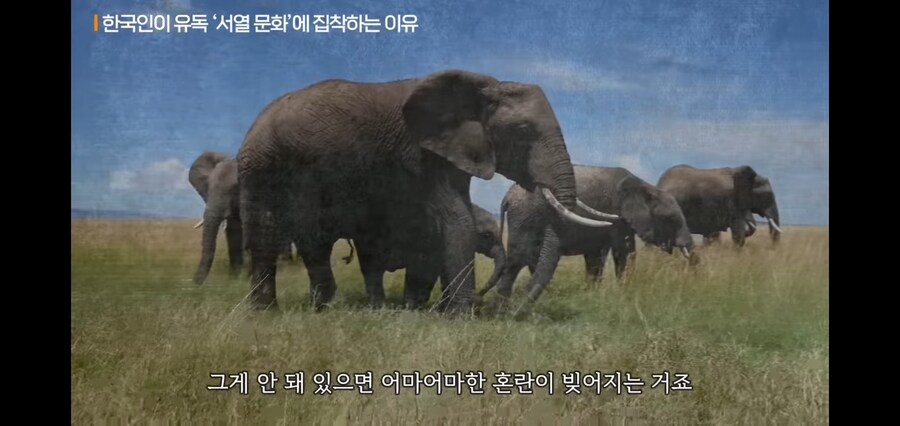 대한민국이 서열나누기에 집착하는 이유_9.jpg