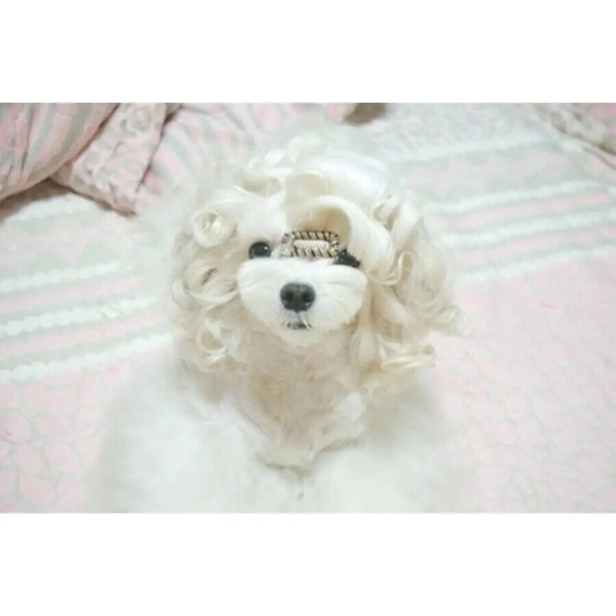 수수깡으로 펌 한 멍뭉이.jpg_4.jpg