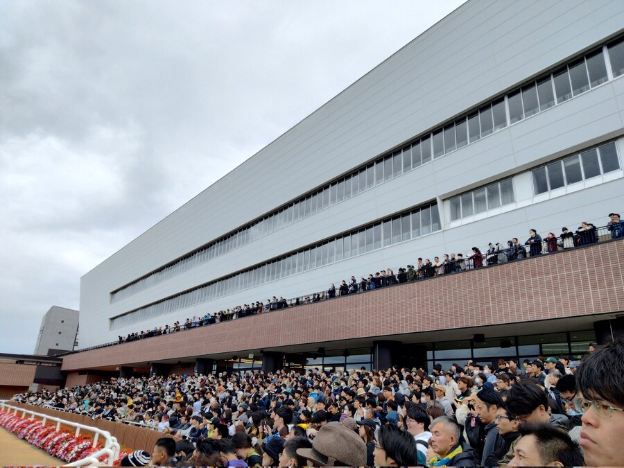 경마, 말딸 혈통) 은퇴 경주마의 팬미팅 행사에 구름처럼 몰려온 팬들._2.jpg