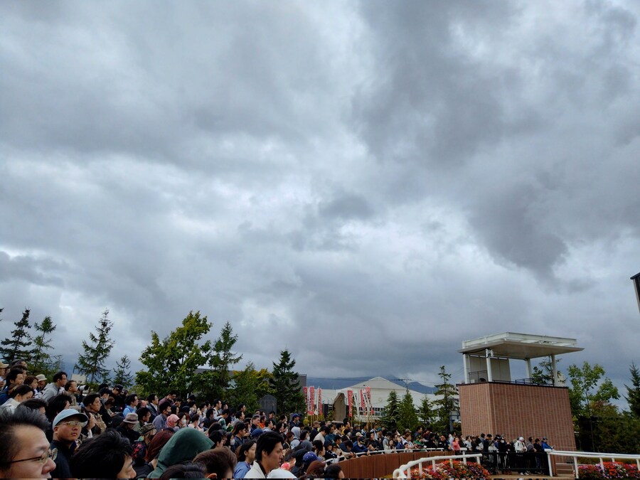 경마, 말딸 혈통) 은퇴 경주마의 팬미팅 행사에 구름처럼 몰려온 팬들._3.jpg