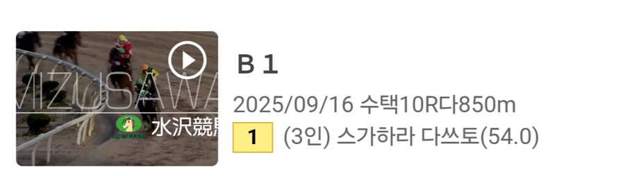 경마,말딸)넌 즈부우마 물려주는 것도 그런데 게이트 난은 왜 추가하니??_5.png