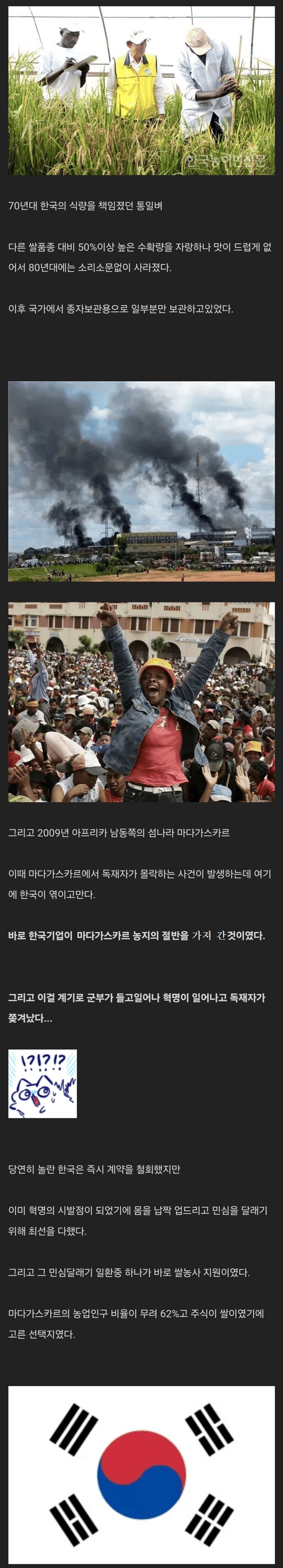 굶주린 아프리카에 한국 통일벼가 퍼진 이유_1.jpg