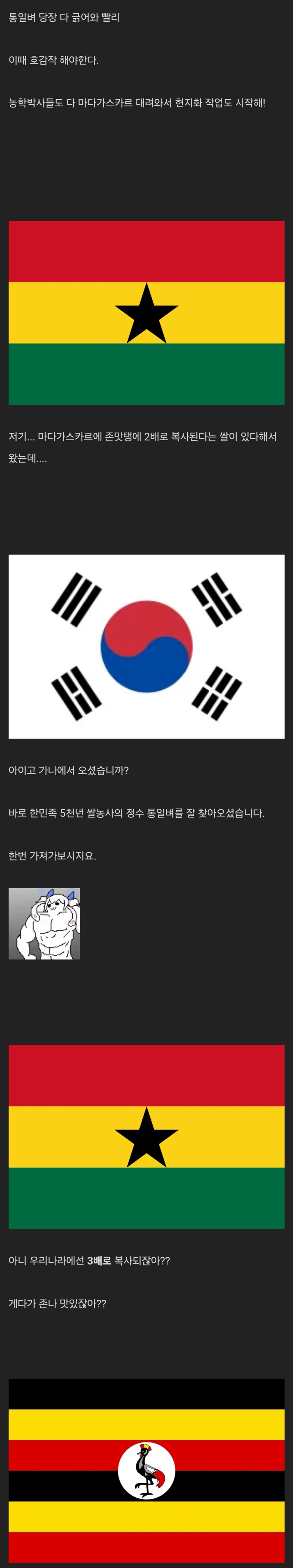 굶주린 아프리카에 한국 통일벼가 퍼진 이유_4.jpg