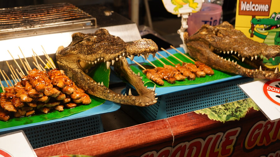 (스압)잘 다녀왔습니다._23.jpg